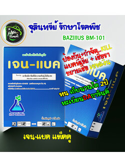 เจน-เเบค[1กก.x2]: แบคทีเรียBS BM-01สารชีวภัณฑ์สำหรับควบคุมโรคพืชและรักษาแผลของโรคพืชได้มีประสิทธิภาพ การกำจัดทำลายเชื้อโรคพืชได้ดีที่สุด สูงกว่าสารชีวภัณฑ์ตัวอื่นๆ ลดความเสียหายและรักษาผลผลิตให้เต็มเม็ดเต็มหน่วย