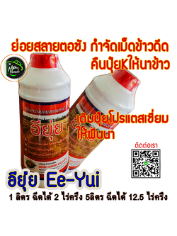 อียุ่ย 1L: จุลินทรีย์ย่อยสลายตอซัง กำจัดเม็ดข้าวดีด เมล็ดหญ้าวัชพืช บรรเทาปัญหาข้าวดีด-ข้าวเด้ง ในนาข้าว ข้าวของท่านจะเจริญเติบโตสมบูรณ์เต็มที่ ให้ผลผลิตที่ดี รายได้ที่สุดคุ้ม ใช้ง่ายปลอดภัย 1 ลิตรหมักได้ 2.5ไร่ หมัก 10วันย่อยสลายซังข้าวหมดเตรียมเเปลงปลูก