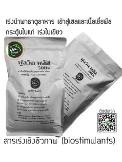 ฟูลวิคพลัส 50%Ds: ช่วยให้พืชใบเขียว หนาใหญ่ แตกรากหนาแน่น ต้นงามโตเร็ว ให้ดอกและผลดก น้ำหนักและคุณภาพผลผลิตเพิ่มขึ้น