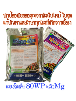 ทรีเทน-เอ็ม(1กก.) ป้องกันรักษาพืชของท่านให้รอดปลอดภัยจากการเข้าทำลายของโรคพืชได้ชงัด โรคใบไหม้ ใบจุดทุกชนิด แอนเเทรคโนสที่ถูกทำลายที่ใบ ผล เม็ดผัก ทรีเทนเอ็มยังเพิ่มความเขียวให้กับใบเพิ่มความเเข็งเเรงด้วยMg 4% สร้างภูมิต้านทานโรคเพิ่มขึ้น
