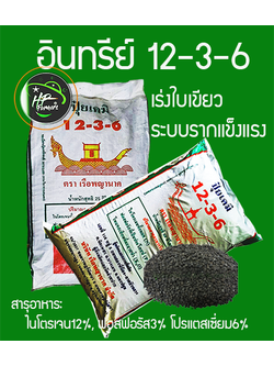 อินทรีย์12-3-6(25กก.):สูตรเพิ่มน้ำยาง บำรุงต้นแข็งเเรง ใบเขียวหนา รากแข็งเเรงดูดซึมธาตุอาหารเพิ่มขึ้น สังเคราะห์เเสงสะสมอาหารเร็ว ส่วนประกอบสำคัญ OM.10-15%, เเร่ธาตุอาหาร N12%-P3%-K6%, มูลค้างคาว อะมิโน-ฮิวมิก และไตรโครเดอมาร์ ควบคุมโรครากเน่าโคนเน่า
