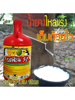 เรดฟอนท์52[REDPHON52,1L]: ฮอร์โมนสูตรเร่งน้ำยางพาราไหลเเรง น้ำยางเยอะ ใช้เพียง 2ฝา(5ซ๊ซ๊)ป้ายครั้งเดียวกรีดได้ทั้งเดือน น้ำยางเข้มข้นสูง ต้นยางไม่โทรม แบรนด์อีโทนัสเท่านั้นทำได้