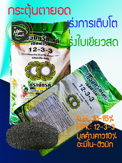 อินทรีย์12-3-3(25กก.) ปุ๋ยอินทรีย์12-3-3 ผสมมูลค้างคาว10% OM.10-15% อะมิโนฮิวมิก10% ช่วยเร่งราก กระตุ้นแตกยอดใหม่ เติบโตไว เพิ่มความเขียวสดให้ใบเเละยอดสดชื่น
