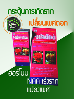 1-แนพทิลแอซีติกเอซิด 100ซีซี: ฮอร์โมน NAA 4.5% ใช้กระตุ้นการแตกราก กิ่งปักชำ มันสำปะหลัง และเปลี่ยนเพศดอกเงาะช่วยผสมติดผลดก ขยายผลสับปะรดให้ใหญ่น้ำหนักเพิ่มขึ้น