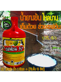 เรดฟอนท์52,1ลิตร[Ethephon 52% w/v SL]: ฮอร์โมนเร่งน้ำยางสูตรเพิ่มผลผลิต15%เหนือทั่วไป เซฟหน้ายาง ยืดอายุกรีดถึง 25ปี ใช้เพียง 20ฝา(50ซีซี)ผสมน้ำ1ลิตร ระบบกรีด: 1/3S, 3d/4, ป้ายเหนือรอยกรีด ป้ายลง-ขึ้น1ครั้ง ครั้งเดียว/เดือน(กรีดได้ 10 วัน) น้ำยางคุณภาพข้น