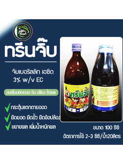 ทรีนจิ๊บ[จิบเบอเรลลิคเอซิด3.0%(100ซีซี) ยายืดยอด ขยาย กิ่ง ก้าน ใบ ช่อ ขั้ว ปล้อง ฝัก ขยายผลเพิ่มน้ำหนัก เพิ่มความยาว เพิ่มผลผลิต