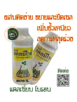 แคลบีไวท์ ธาตุอาหารรอง-เสริม[Ca7%, B1%] สูตรคีเลท สร้างขยายเซลแบ่งเซลล์ปลายยอด-ปลายราก ช่วยให้พืชเติบโต ขายทรงพุ่มราก ความสูง ผนังเซลล์เเข็งแรงลดผลแตก-ผลเน่า ลำต้นแข็งเเรงหักล้มยาก ทนโรคแมลง ขั้วเหนียวลดผลร่วง