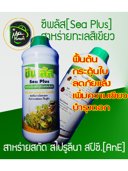 ซี-พลัส[Sea Plus]1,000ซีซี: สาหร่ายทะเลสีเขียว-แกรมน้ำเงินสไปรูลิน่า ฟื้นฟูต้นโทรม บำรุงสุขภาพพืชส่งเสริมการเจริญเติบโต อุดมไปด้วยกรดอมิโน เเละวิตามินบีรวมเเละสารประกอบอินทรีย์ ช่วยต้านทานสภาวะร้อน เเห้งเเล้งขาดน้ำ