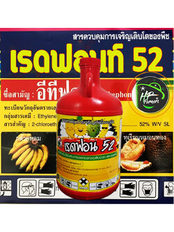 เรดฟอนท์52[Ethephon 52%SL, 1000ซีซี] น้ำยาบ่มกล้วยหอมสุกเปลือกเหลืองอร่ามสวยงาม สุกเร็วกว่าปกติ2-3เท่า เนื้อเเน่นไม่เละ รสชาติถูกปาก ปลอดภัย ได้มาตรฐานการอาหารโลก