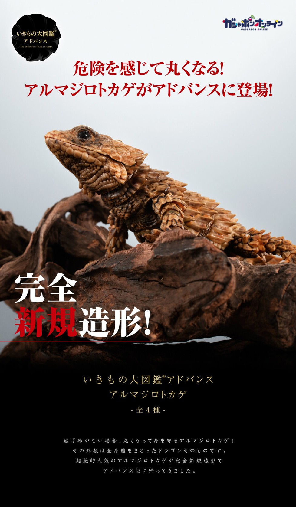 PRE-ORDER : Ikimono Encyclopedia Advance Armadillo Lizards (Random)