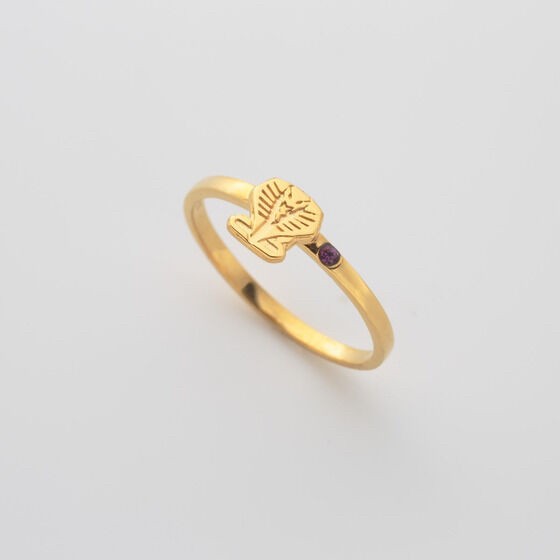 PRE-ORDER : Kamen Rider Ryuki VS Kamen Rider Zolda/Kamen Rider Ouja Ring Set