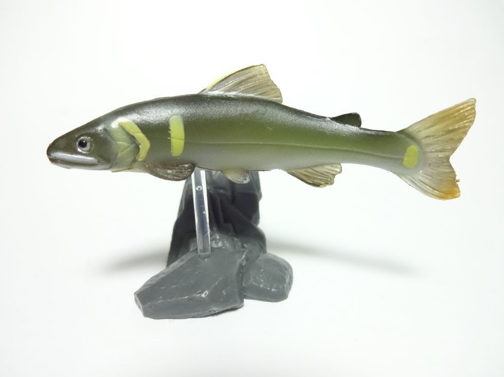 กาชาปอง Freshwater Fish Collection vol. 1 Gashapon (Set of 13) by Yujin