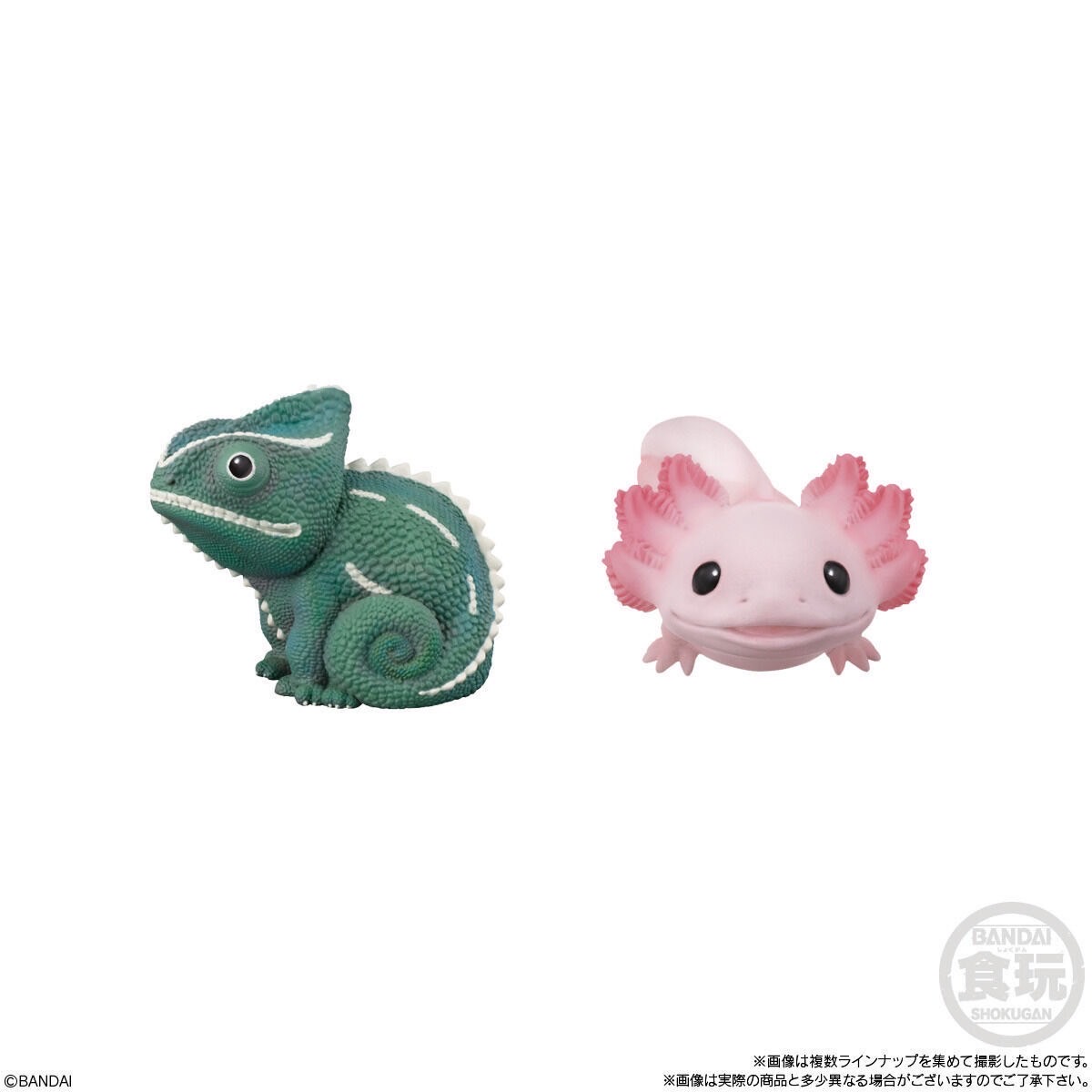 โมเดล สัตว์น่ารัก Tenori Friends 6 by Bandai