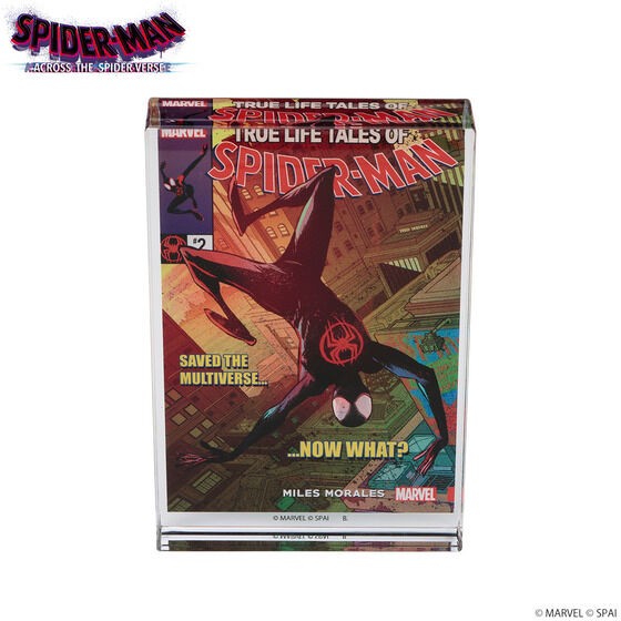PRE-ORDER : MARVEL Spider-Man: Across the Spider-Verse Acrylic Block