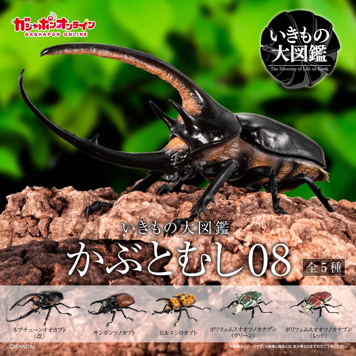 CPRE-ORDER 2024.12 : Ikimono Encyclopedia Beetle 08