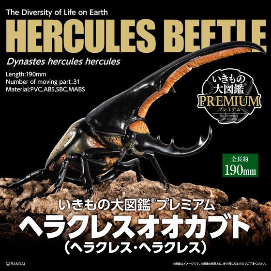 PRE-ORDER : Ikimono Encyclopedia Premium Hercules Beetle (Dynastes hercules)