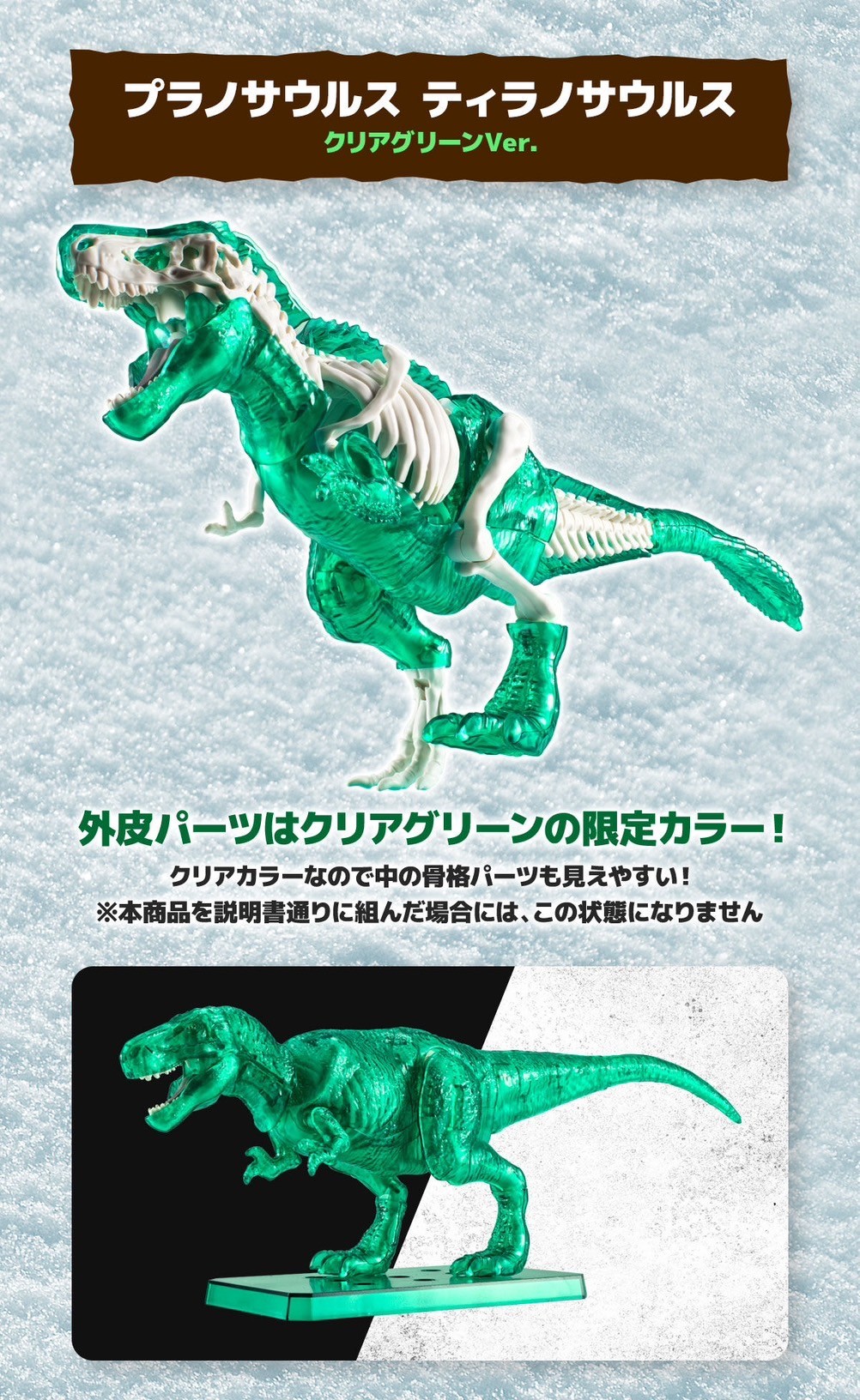 PRE-ORDER : Carrying Cox with Planosaurus Planosaurus Tyrannosaurus Clear Green Ver.