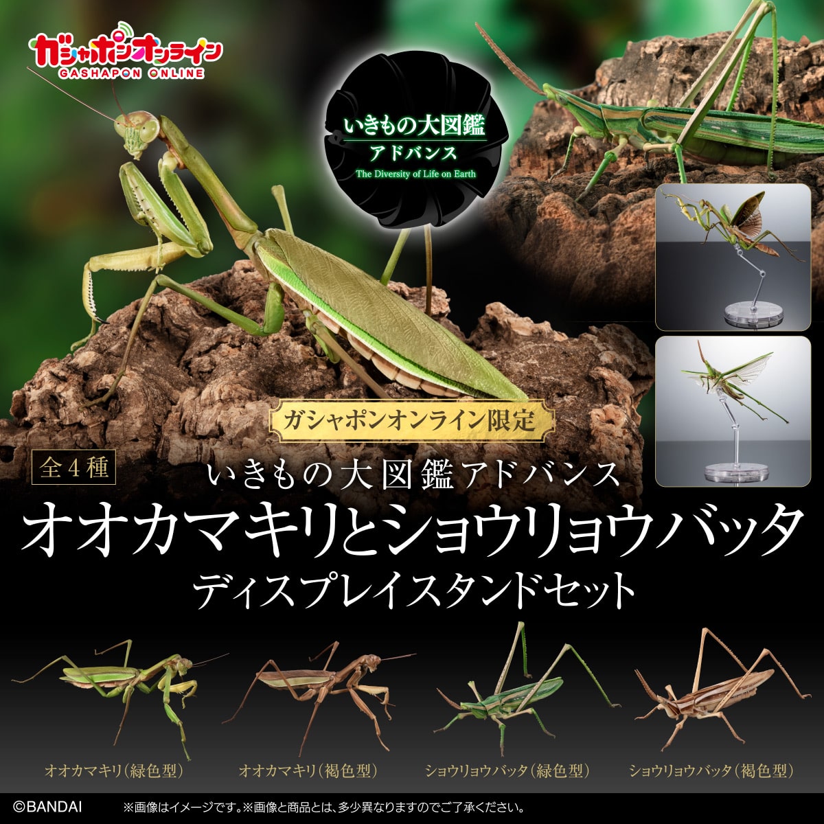 $ Ikimono Encyclopedia Advance Praying Mantis & Oriental Long-headed Grasshopper Display Stand Set (PB)