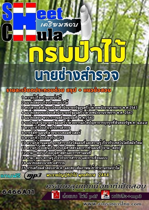 แนวข้อสอบนายช่างสำรวจ กรมป่าไม้