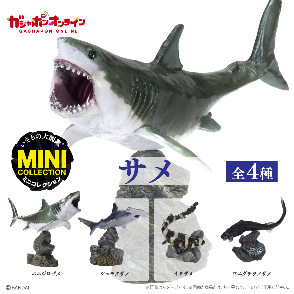 $ Ikimono Encyclopedia Mini Collection Shark 01