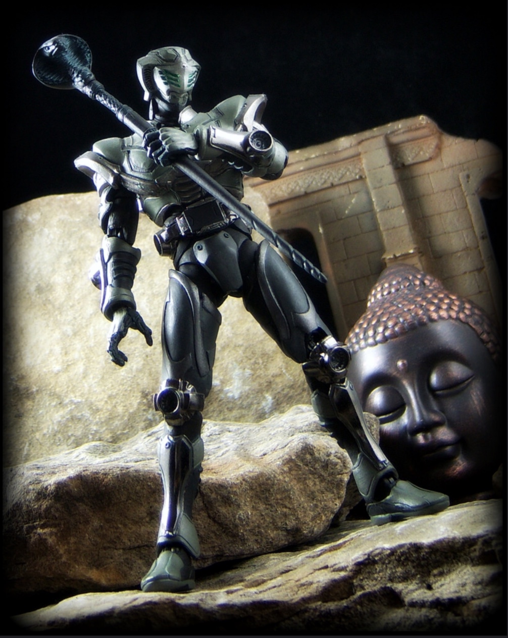 S.I.C LIMITED EDITION Masked Rider Ryuki & Masked Rider Ouja Blank Form by Bandai