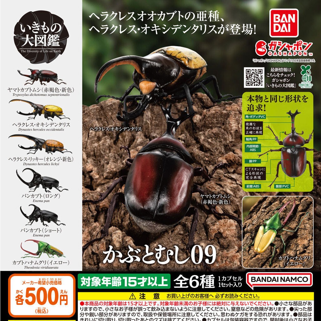CPRE-ORDER 2025.08 : Ikimono Encyclopedia Beetle 09