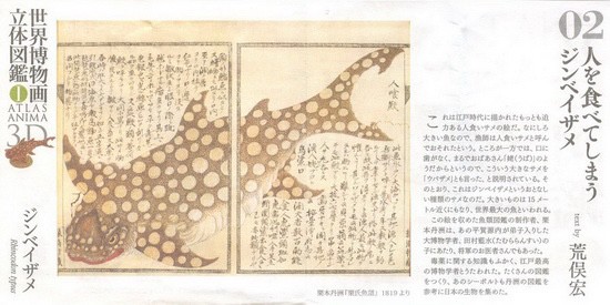 งานฝา สัตว์น้ำ New Enoshima Aquarium World Museum ATLAS ANIMA 3D Bottle Cap Collection (Set of 8) by Kaiyodo