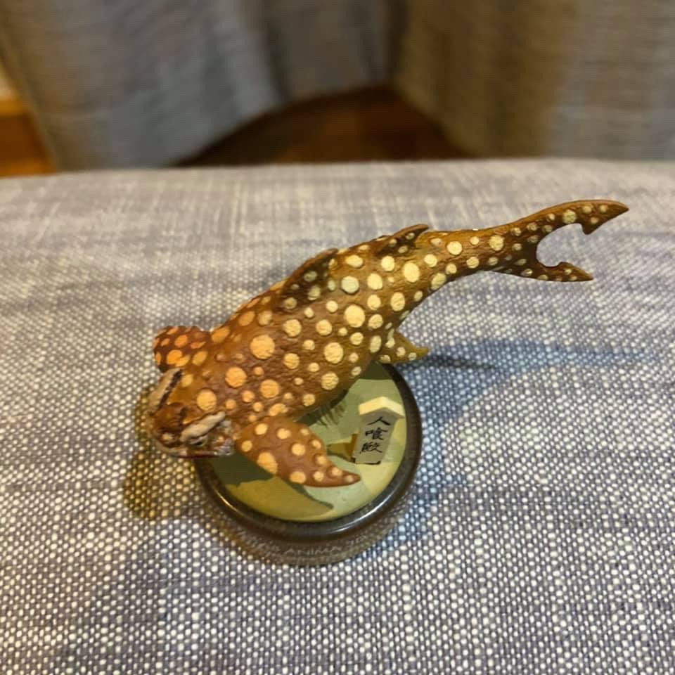 งานฝา สัตว์น้ำ New Enoshima Aquarium World Museum ATLAS ANIMA 3D Bottle Cap Collection (Set of 8) by Kaiyodo