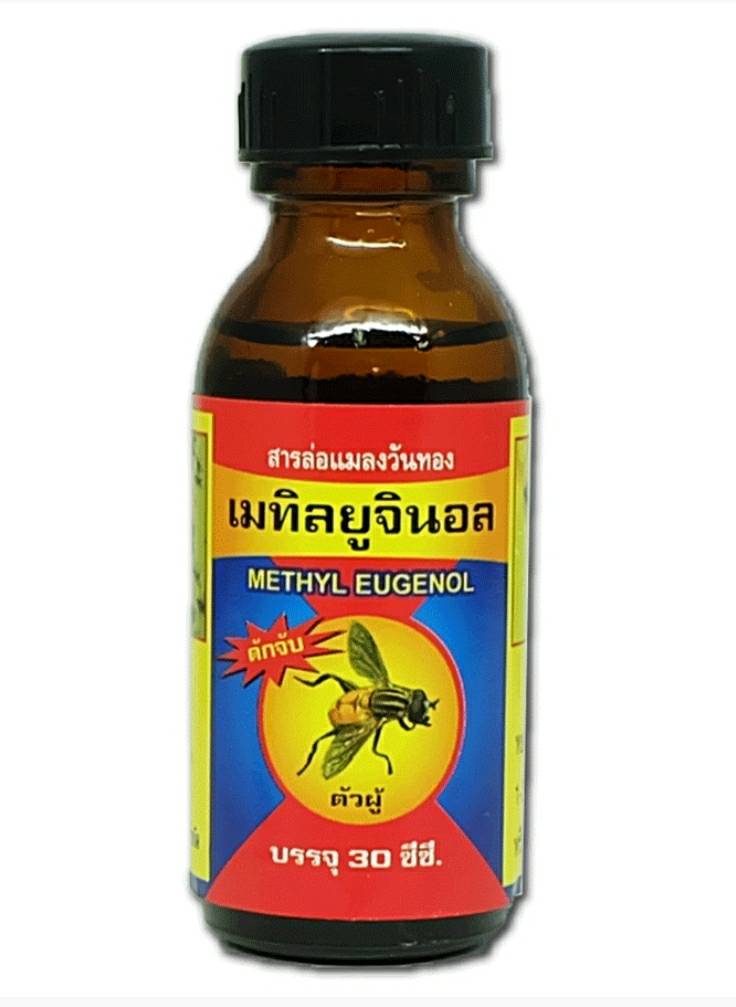 เมทิลยูจินอล ( สารล่อแมลงวันทอง ) 30 ซีซี.