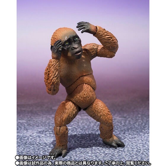 PRE-ORDER : S.H.MonsterArts SUKO & MOTHRA (2024) FROM GODZILLA x KONG: THE NEW EMPIRE