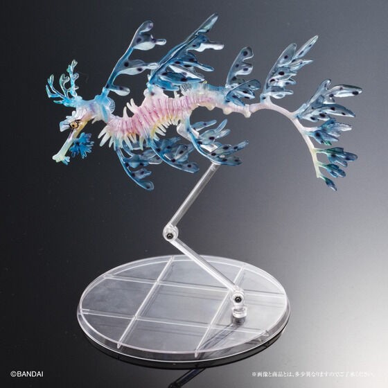 PRE-ORDER : Ikimono Encyclopedia Premium Leafy seadragon