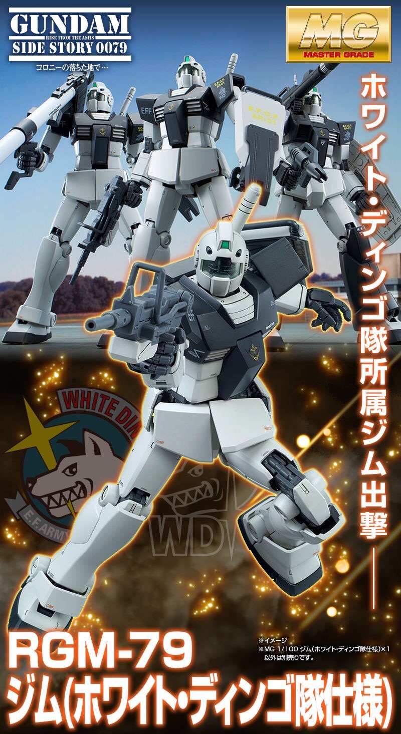 PRE-ORDER : MG 1/100 RGM-79 GM (WHITE DINGOS COLOR) PLASTIC MODEL