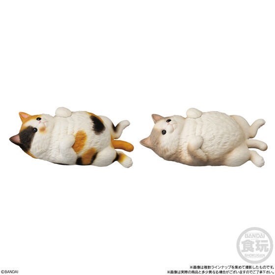 PRE-ORDER : Soft and Fluffy Cat (12 pcs)
