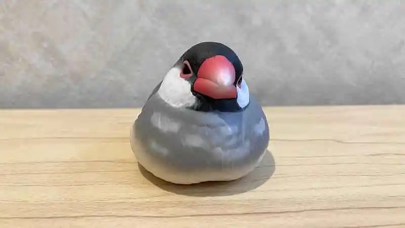 โมเดลนก Tenori Friends 10 by Bandai