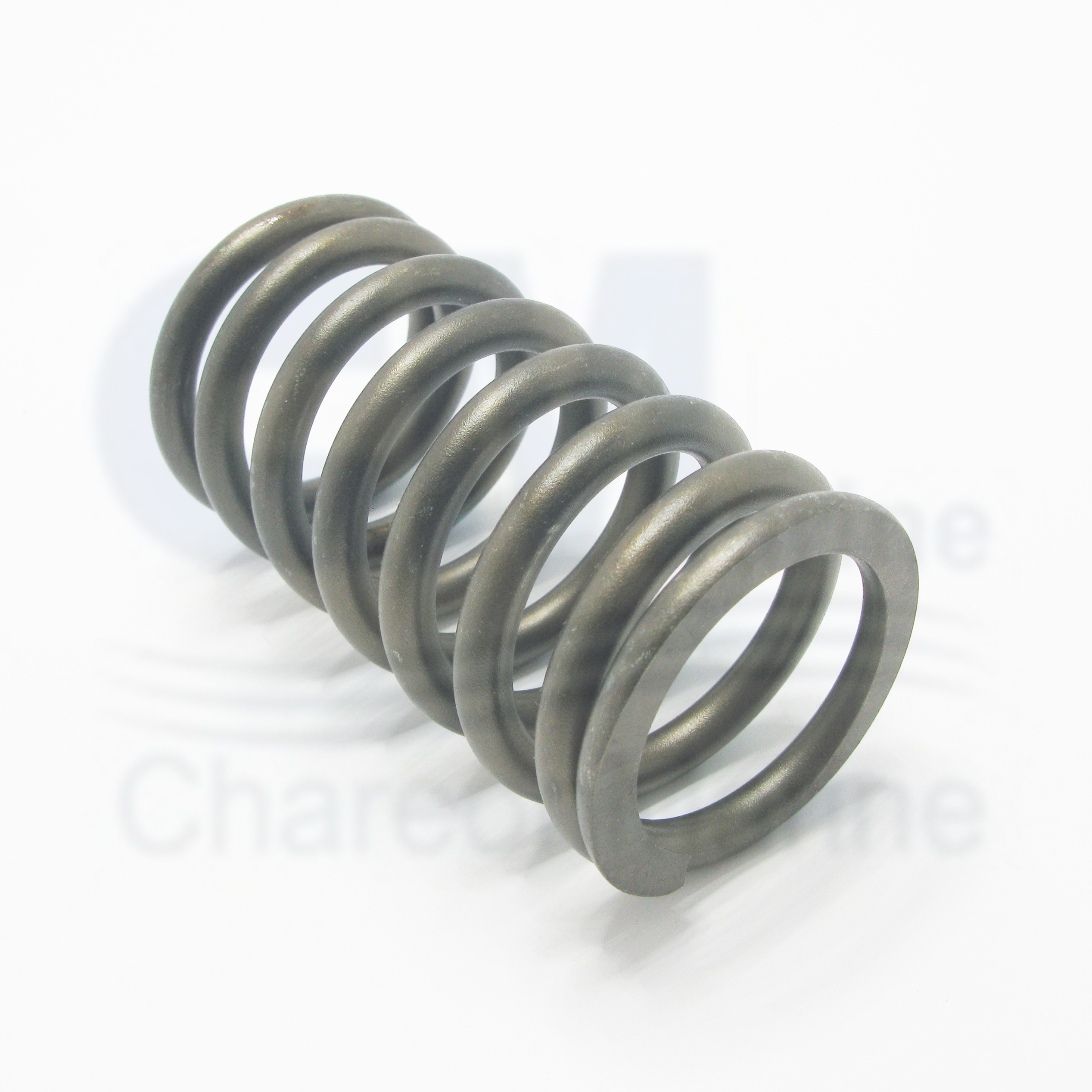 3629006 SPRING,VALVE