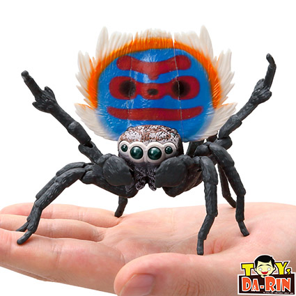 $ Ikimono Encyclopedia Peacock Spider 01