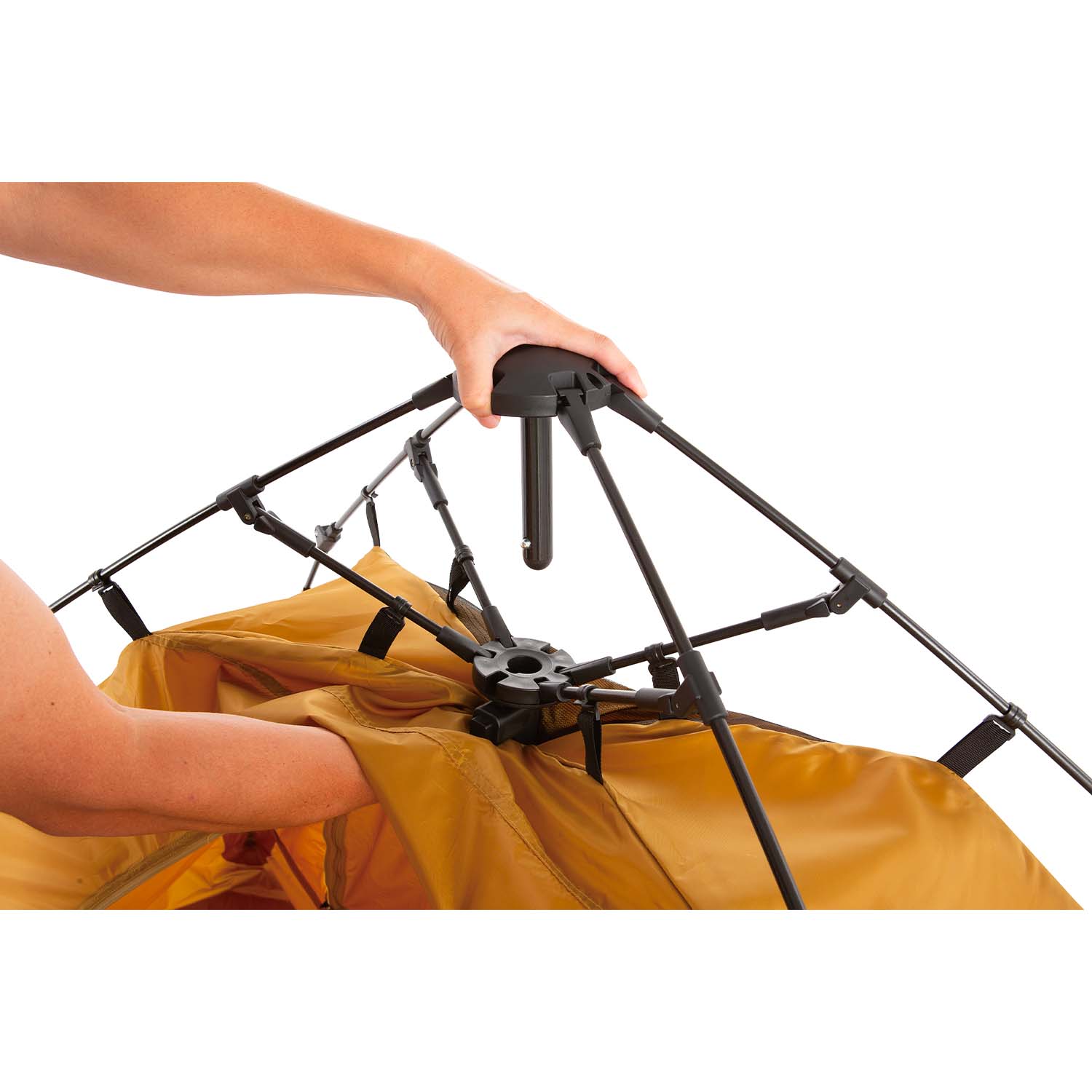 เต็นท์กางไว Coleman Instant Up Dome / S