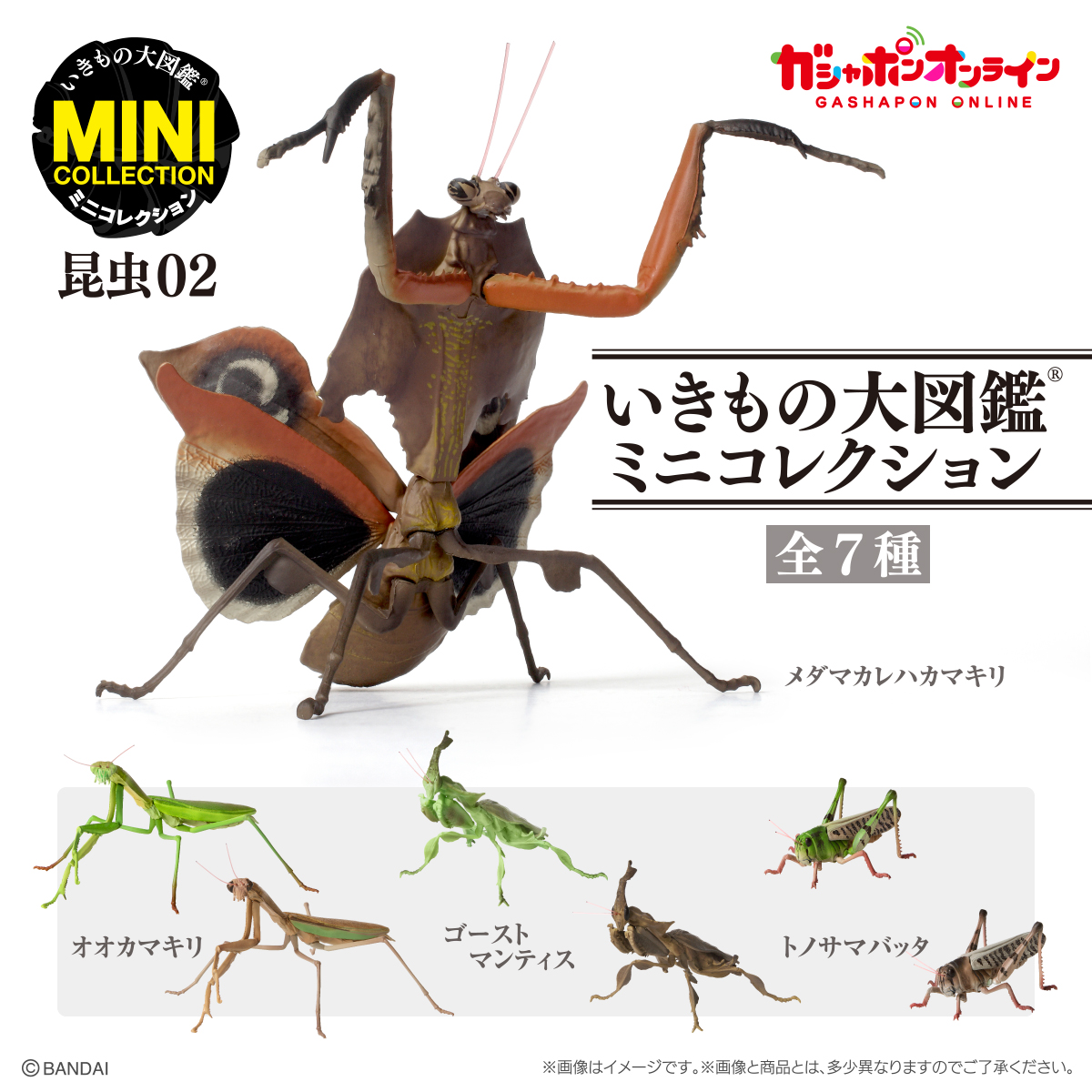 $ Ikimono Encyclopedia Mini Collection Insect 02