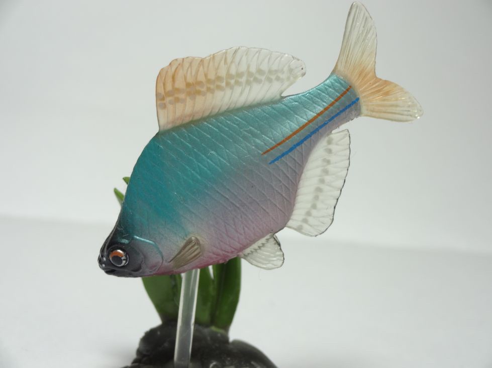 กาชาปอง Freshwater Fish Collection vol. 1 Gashapon (Set of 13) by Yujin