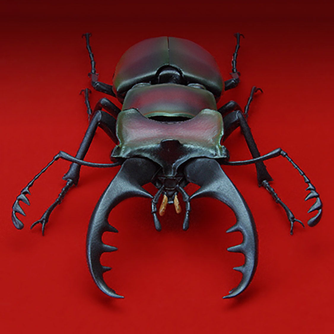 $ Ikimono Encyclopedia Stag Beetle 02
