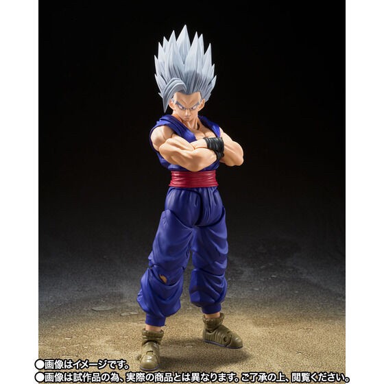PRE-ORDER : S.H.Figuarts Son Gohan Beast (Dragon Ball Super Hero)