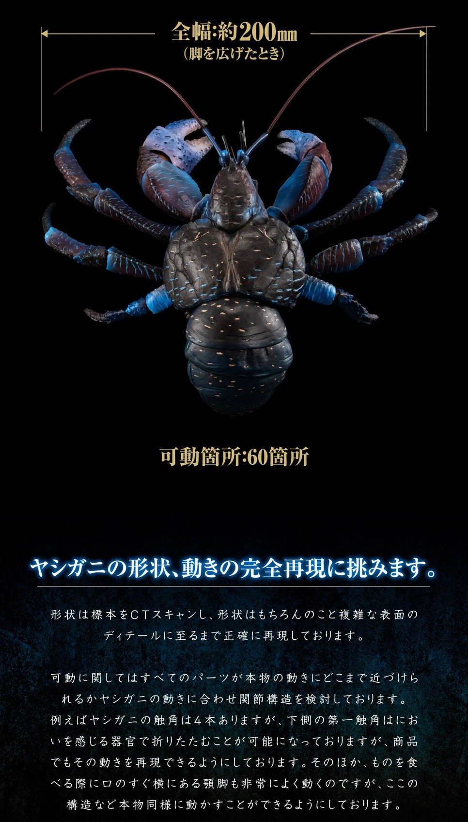 PRE-ORDER : Ikimono Encyclopedia Premium Coconut Crab