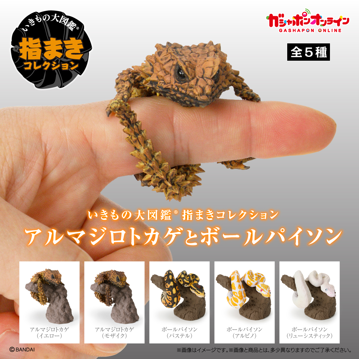 $ Ikimono Encyclopedia Yubimaki Collection Armadillo Girdled Lizard & Ball Python