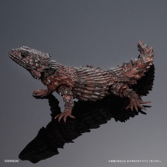 PRE-ORDER : Ikimono Encyclopedia Advance Armadillo Lizards (Random)