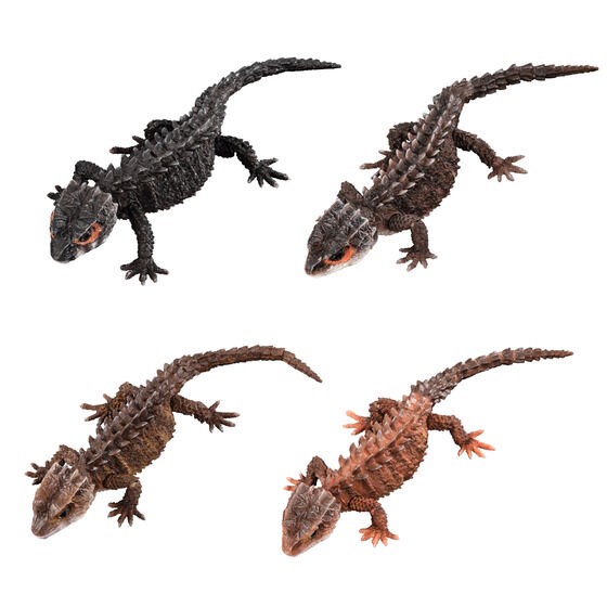 PRE-ORDER : Ikimono Daizukan Red-eyed Crocodile Lizard and Motoikabuto Lizard (Random)