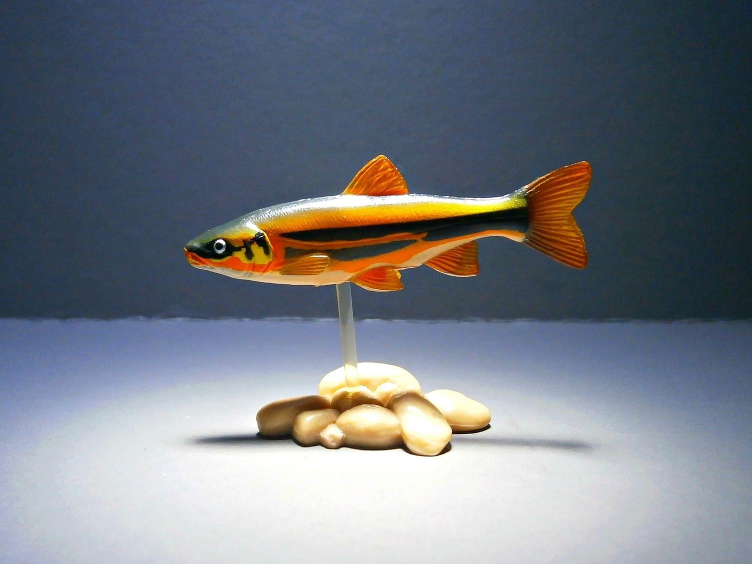 กาชาปอง Freshwater Fish Collection vol. 1 Gashapon (Set of 13) by Yujin