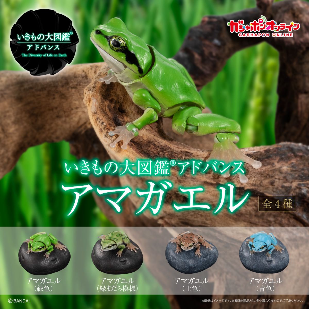 $ Ikimono Encyclopedia Advance Tree Frog 01 (PB)