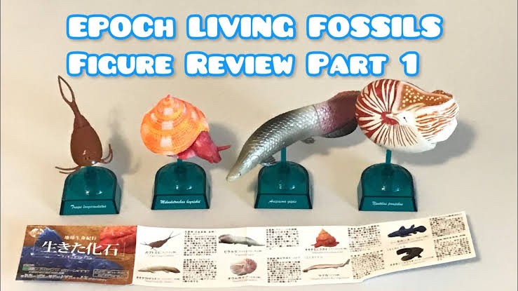กาชาปอง Earth Life Journey Living Fossil Collection Gashapon (Set of 6) by EPOCH