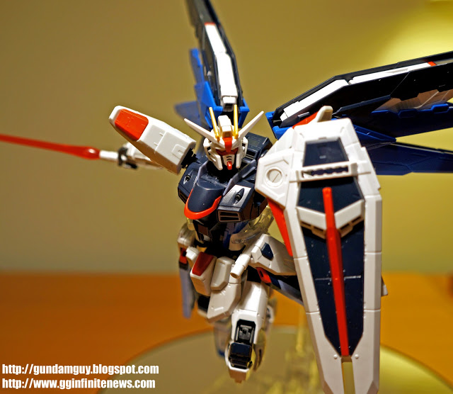 RG 1/144 Freedom Gundam by Bandai