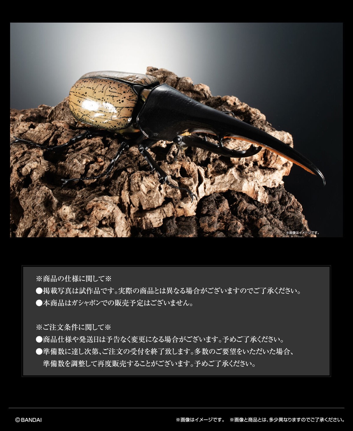 PRE-ORDER : Ikimono Encyclopedia Premium Hercules Beetle (Dynastes hercules)
